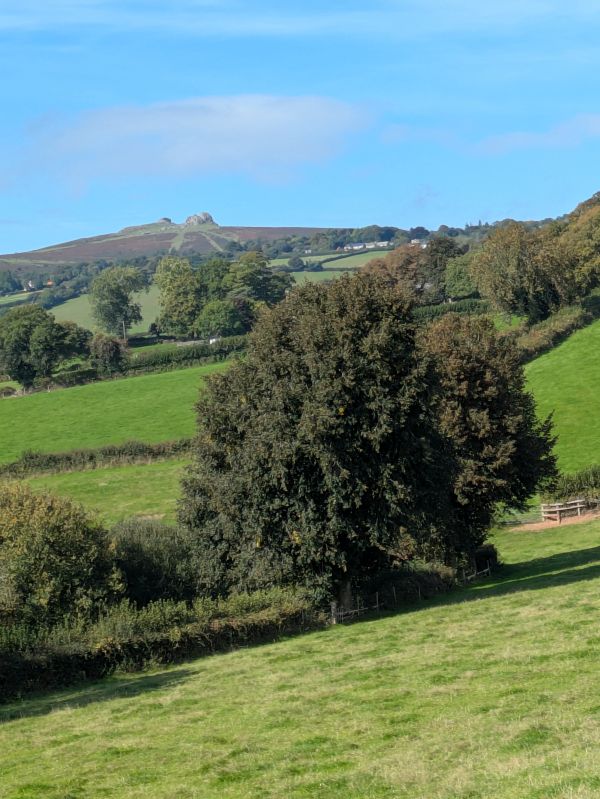 Distant view of Haytor on a sunny day
